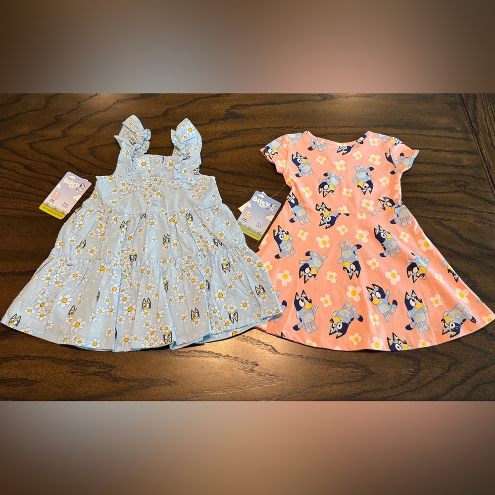 Charming Bluey Kids Dress Set - Blue and Peach
